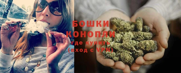 PSILOCYBIN Абаза