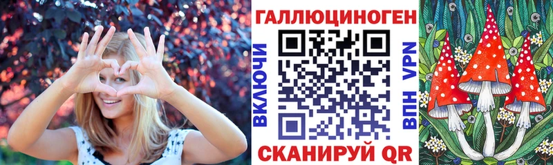 Галлюциногенные грибы Psilocybe  Заволжье 